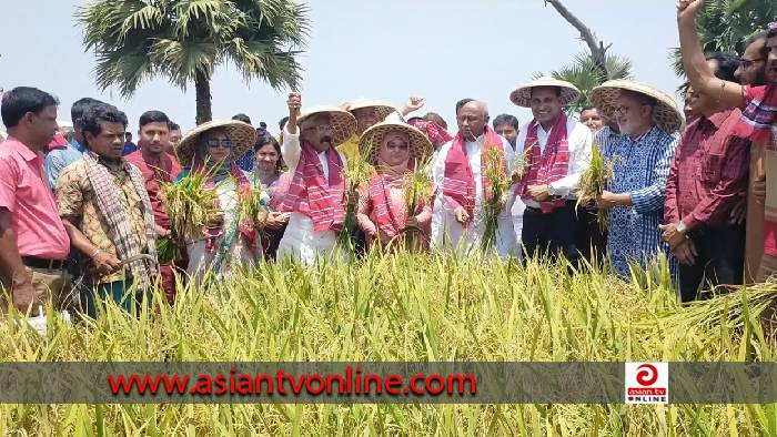 ‘শেখ হাসিনার সময়ই কৃষি খাতকে সর্বোচ্চ গুরুত্ব দেয়া হয়েছে’