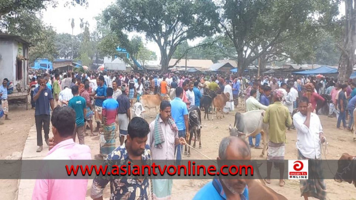 ঠাকুরগাঁওয়ে গরুর হাটে অতিরিক্ত টোল আদায়ের অভিযোগ