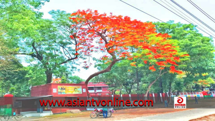 সৈয়দপুর রেলওয়ে কারখানার অবসরপ্রাপ্তরা পেনশন ভাতা না পাওয়ায় চরম দুর্ভোগে