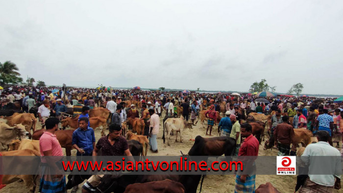 আমতলীতে কোরবানির গরু-ছাগলের হাট জমজমাট