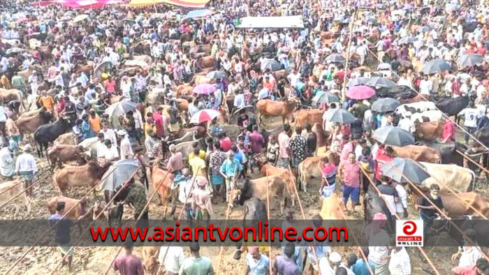 সীতাকুণ্ডের বড় দারোগা হাটে জমে উঠেছে কোরবানির পশুর হাট