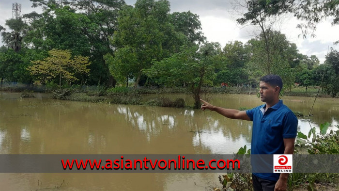 আখাউড়ায় বন্যায় ১২ কোটি টাকার মাছ ভেসে গেছে