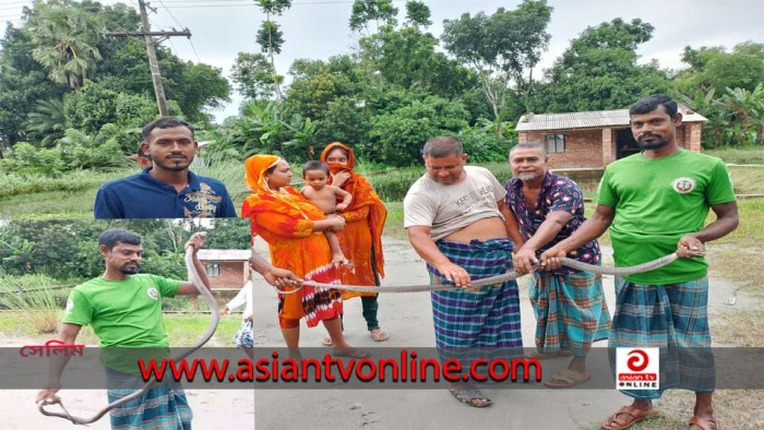 সাপ ধরে বনে অবমুক্ত করাই সেলিমের নেশা