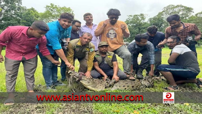 গাজীপুরে রিসোর্ট থেকে কুমির উদ্ধার