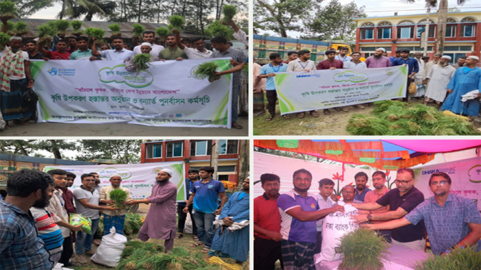 ২৫০ কৃষক পেলো ধানের চারাসহ কৃষি উপকরণ