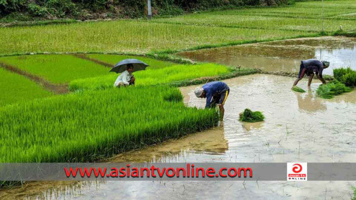 মতলবে ধানের চারা ফেলার জমি নিয়ে বিরোধের ঘটনায় নিহত ১