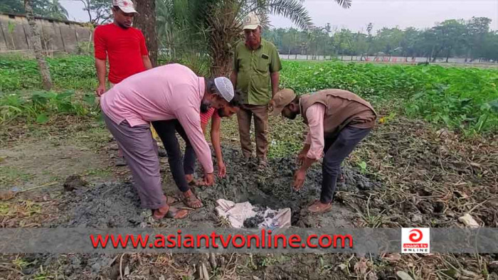 গলাচিপায় দুই মণ নিষিদ্ধ শাপলা পাতা মাছ জব্দ