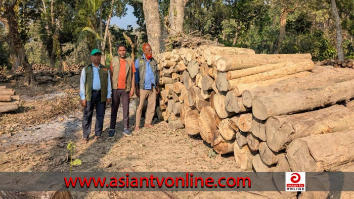 ফটিকছড়িতে ১০ লক্ষ টাকা মূল্যের অবৈধ কাঠ জব্দ