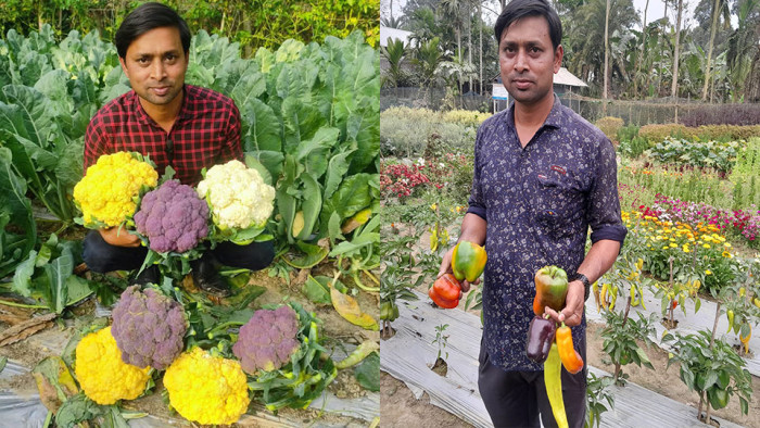 গার্মেন্টস ছেড়ে এক পলিনেটেই ভাগ্য বদলেছে ইলিয়াসের