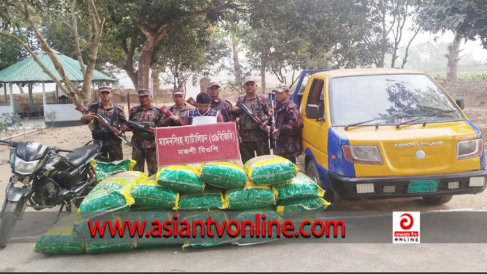 ময়মনসিংহে বিপুল পরিমাণ ভারতীয় পণ্য জব্দ, আটক-১